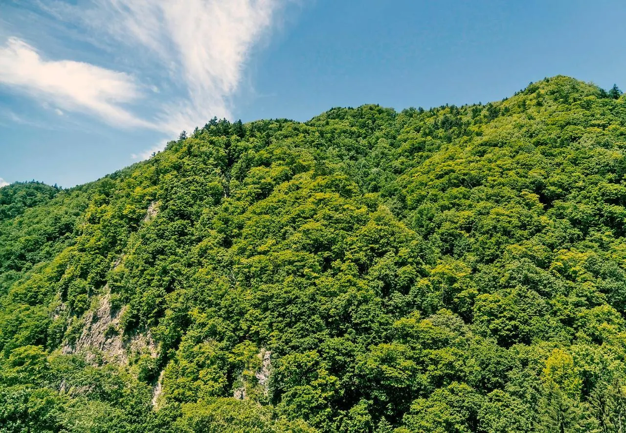 定山溪格兰酒店瑞苑 札幌 传统日式旅馆